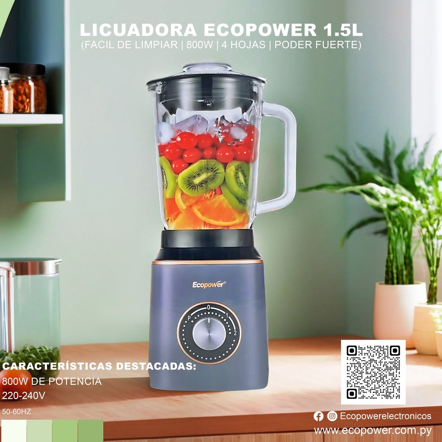 LICUADORA ALTA GAMA 800//1200 W ECOPOWER